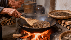 瓦子坪说山茶油：工业本钱为何想绕开中国的非